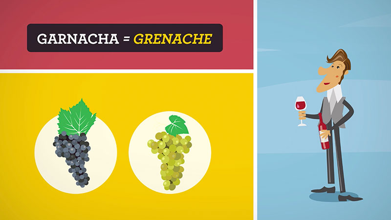 Video de animacion wines of garnacha 1 dosis video marketing - productora audiovisual