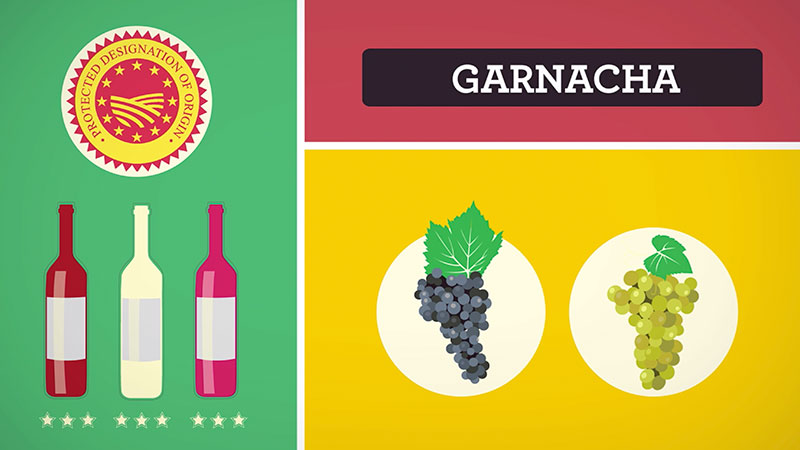 Video de animacion wines of garnacha 4 dosis video marketing - productora audiovisual